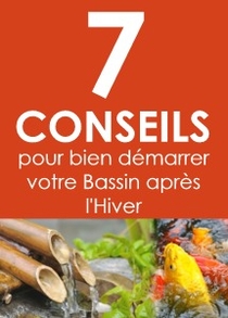 comment-re-demarrer-son-bassin-après-l-hiver